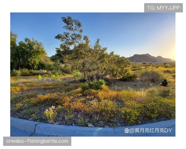 美国菲尼克斯站天气预警：大风或影响BMX自由式决赛轮次